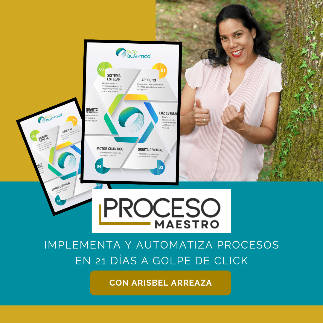 Programa Proceso Maestro